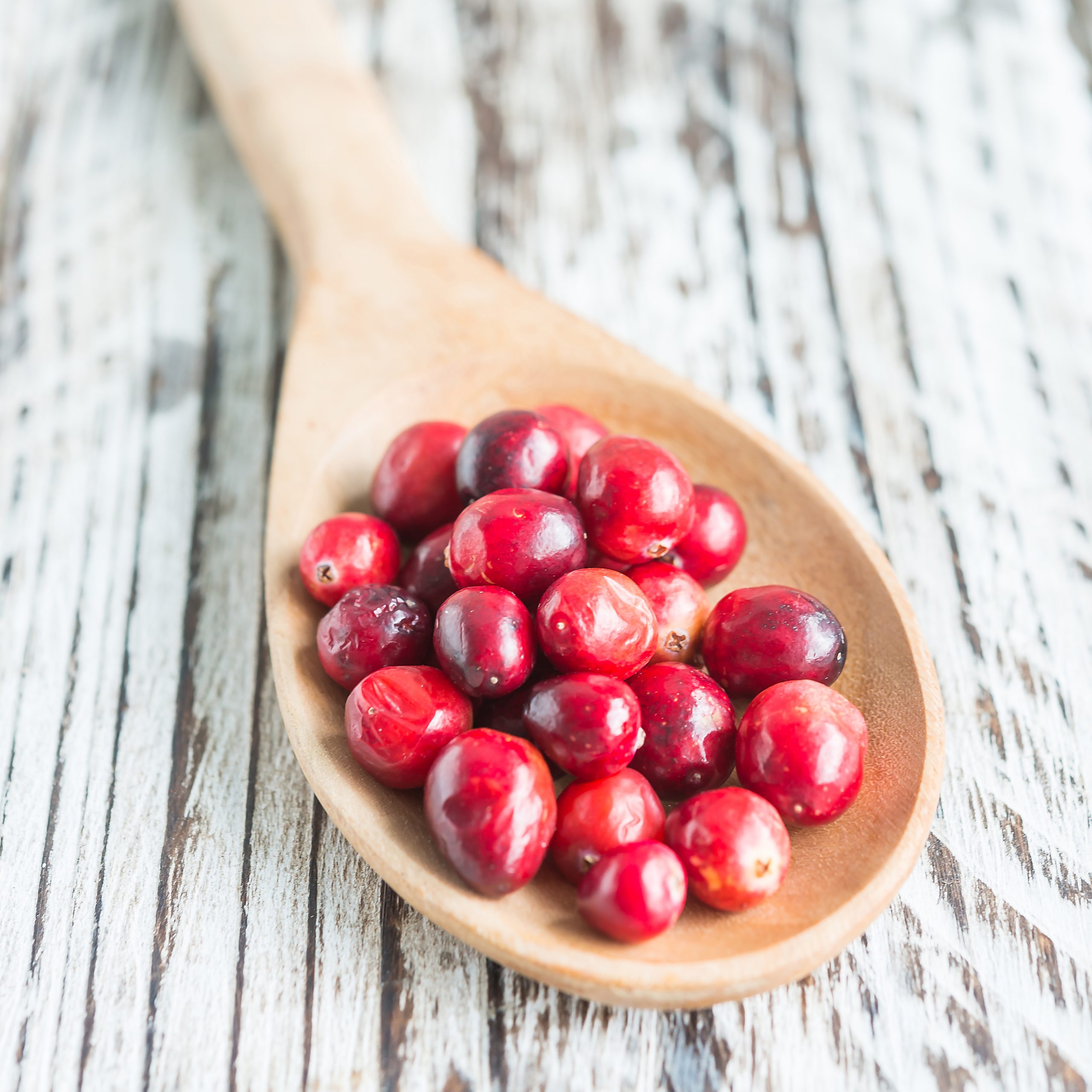 Cranberry Cranberry Recipes